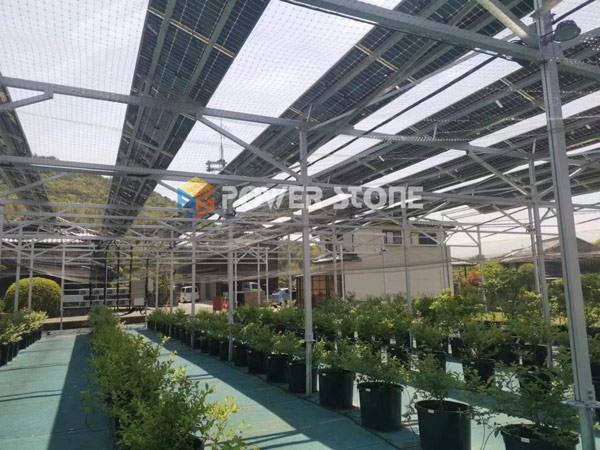 Solar Farm Ground Mounting