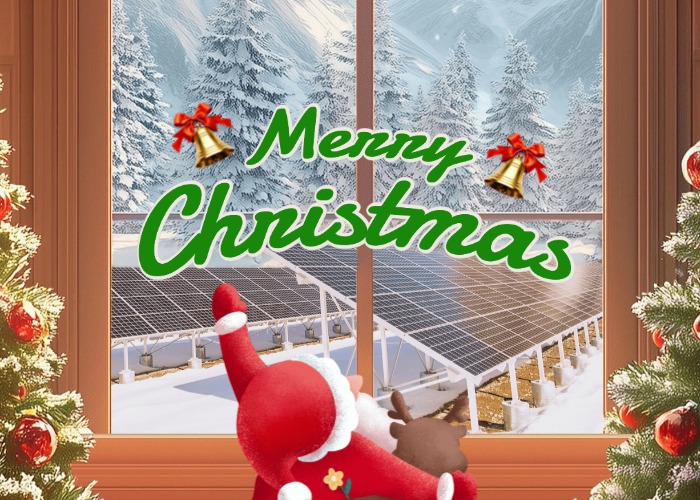 2024 Merry Christmas