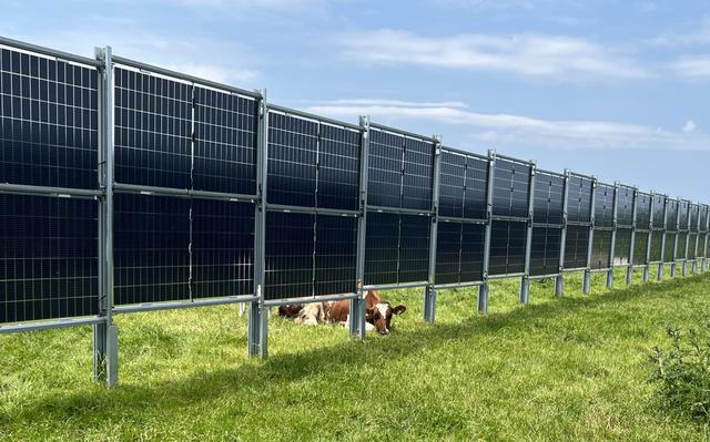 Solar Vertical PV Farms Mounting Bracket